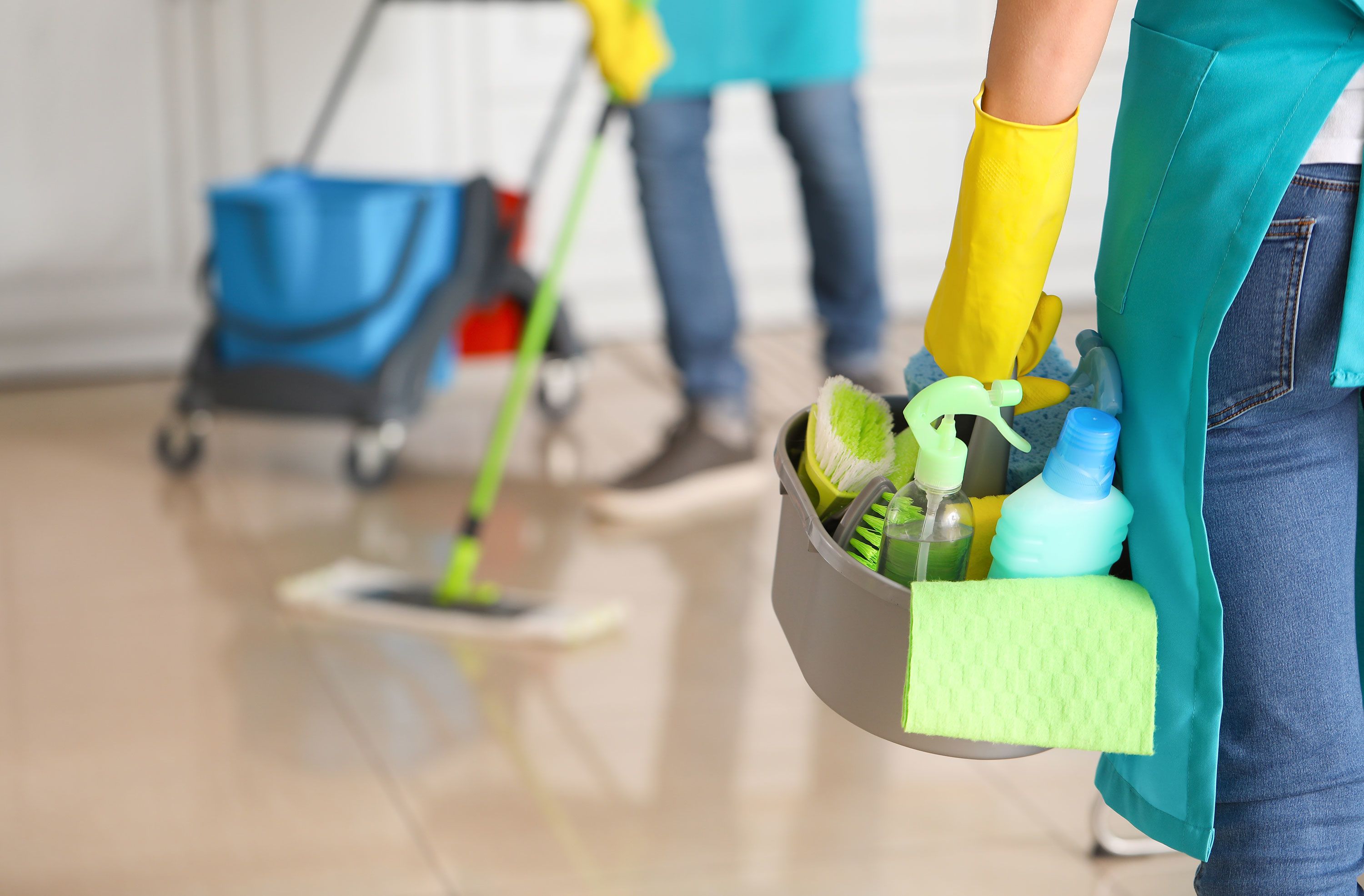 Cleaner